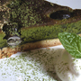 cafemenu: image 11 of 12 ◇  GreenTea Cake
